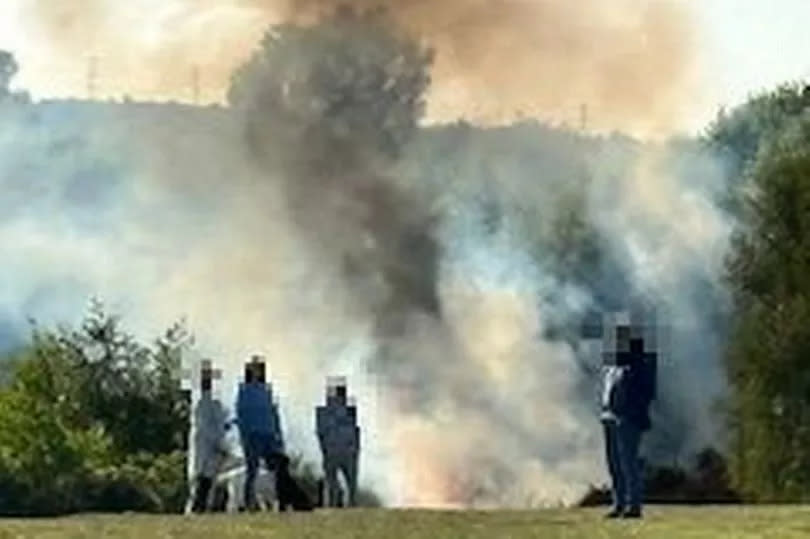Onlookers watch as a big plume of smoke rises from a fire in Sutton Park in Sutton Coldfield