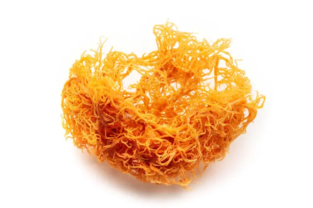 Close-up of dried sea moss, a kind of red seaweed, against a white background.