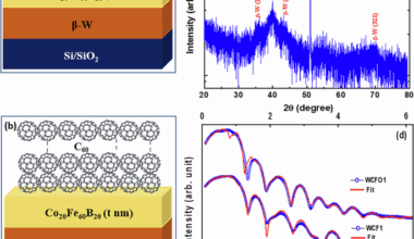Significant influence of low SOC materials on magnetization dynamics and spin-orbital to charge conversion