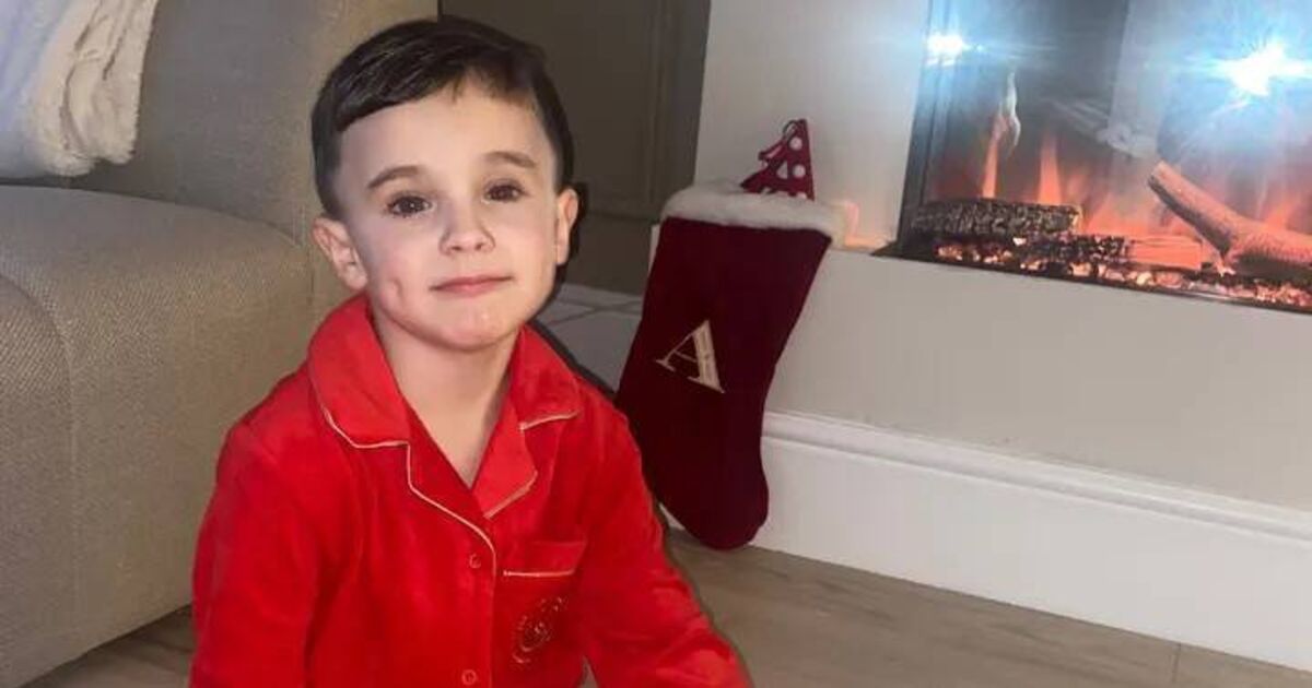 Parents plead for approval of 'vital drug' to slow down their son's muscular dystrophy