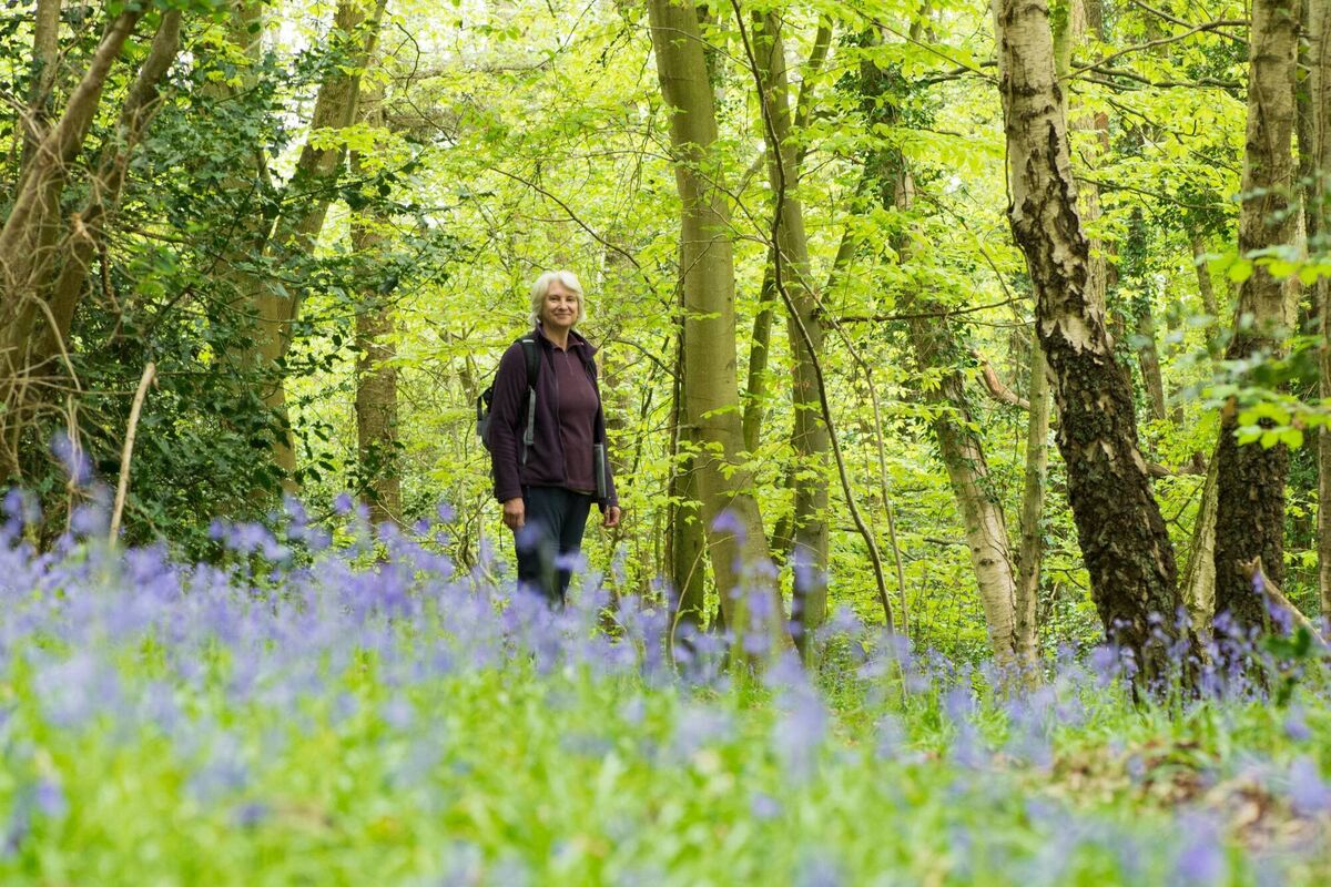 Reaching and exceeding a 4,000-5,000 daily step count can help reduce your risk of cognitive decline, through improved blood flow to the brain, an increase in brain chemicals which stimulate the growth of new nerve cells, and better metabolism of glucose in the brain.