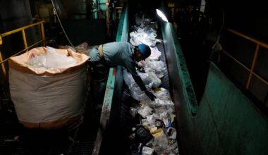 Are microplastics hurting our fertility?