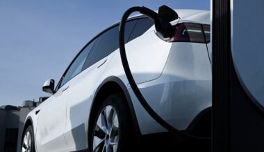 Half of European companies support climate policies, research suggests