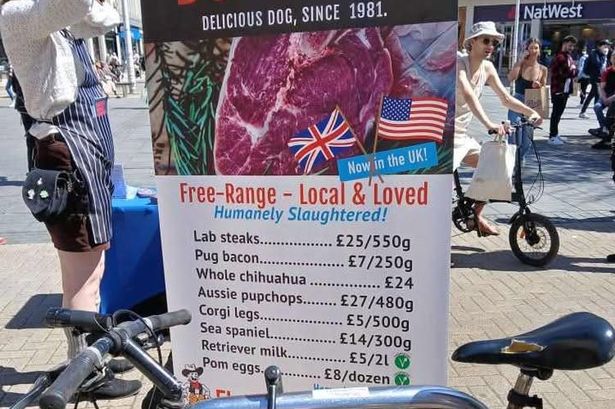 An apparent 'dog meat' stall set up in Bristol city centre