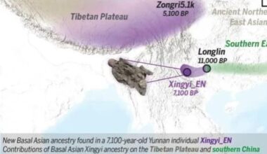 Ancient genomes in Yunnan reveal new clues to Tibetan origins