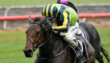 Horse racing: Wexford Stables’ Prudentia, Macallan triumph on heavy track at Tauranga races