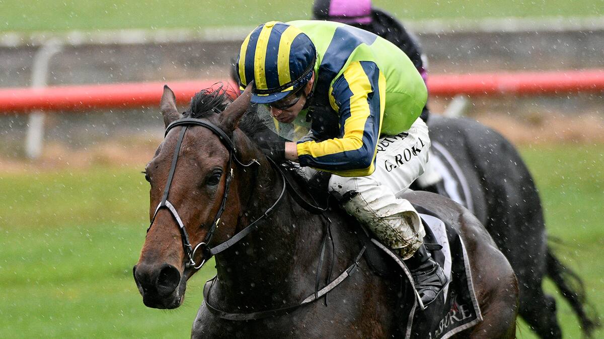 Horse racing: Wexford Stables’ Prudentia, Macallan triumph on heavy track at Tauranga races