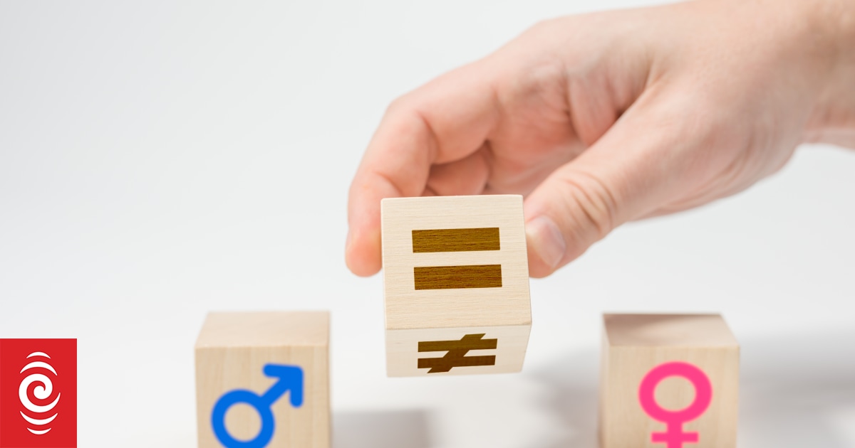 Overhaul of equal pay legislation is halting progress, Equal Employment Opportunities Commissioner says