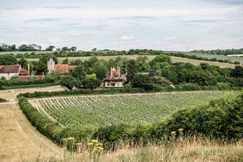 A view of Silverhand Estate in Gravesend, Kent in the new nature reserve