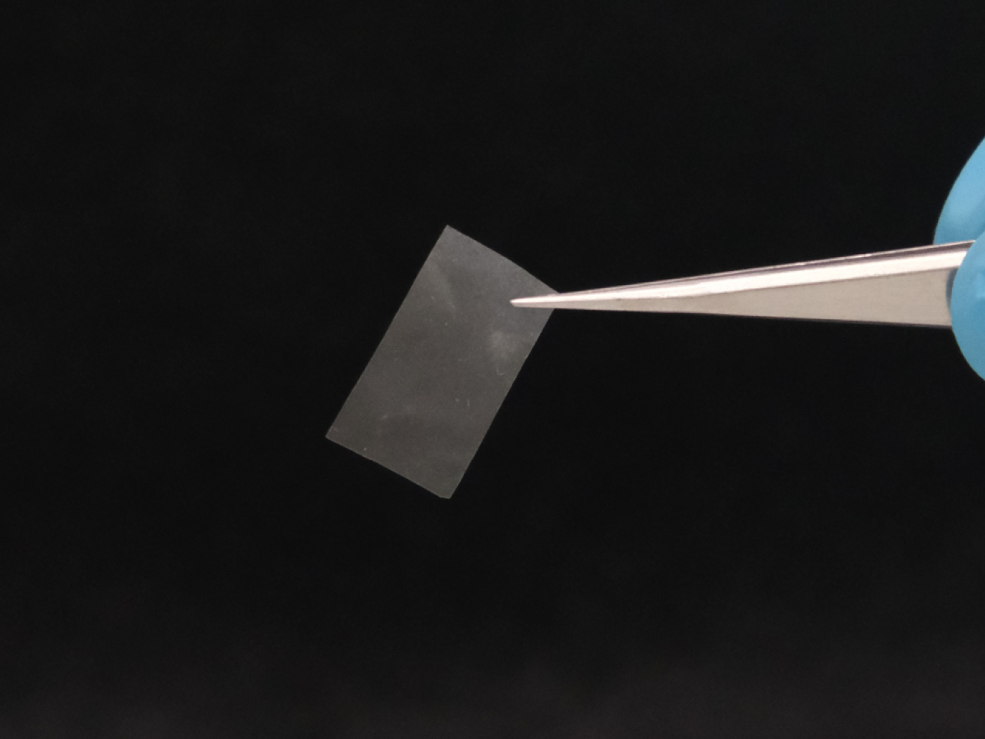Swiss researchers develop living material from fungi