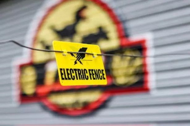 Power cut at Avon Valley Adventure Park, Keynsham