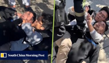 Chinese man subdues thief in Spain, highlights trend of mainlanders tackling criminals abroad