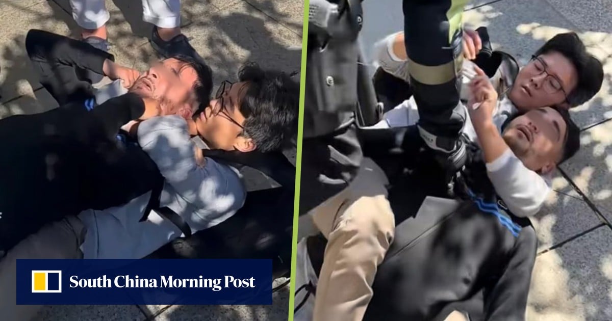 Chinese man subdues thief in Spain, highlights trend of mainlanders tackling criminals abroad