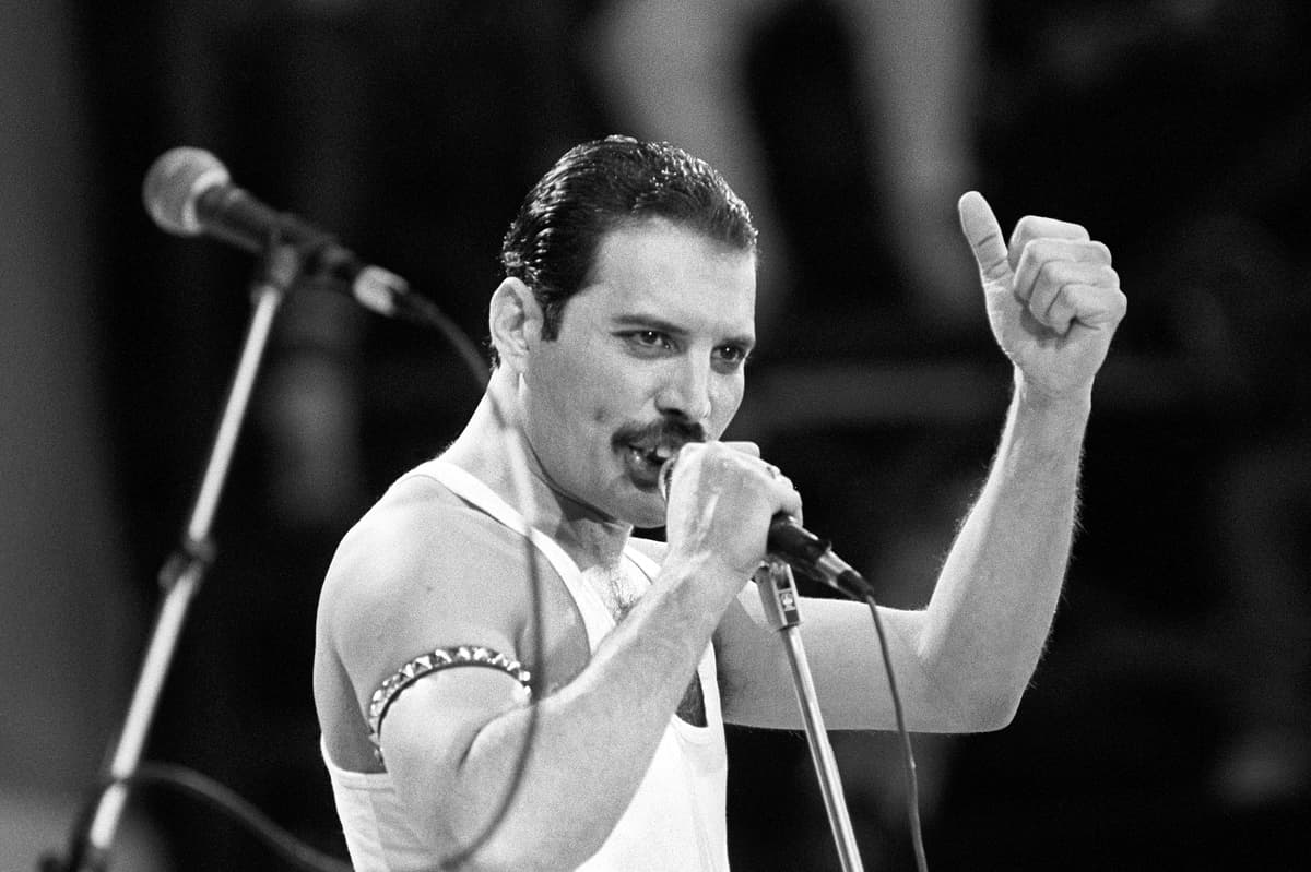 Freddie Mercury 'had secret daughter from illicit affair', extraordinary new biography claims - London Evening Standard