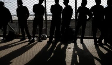 Parliament probes EU asylum agency amid allegations of mismanagement – POLITICO