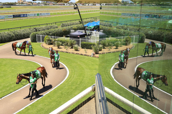 The altercation involving the Roberts and a Racing NSW integrity official took place at Newcastle Racecourse on April 26.