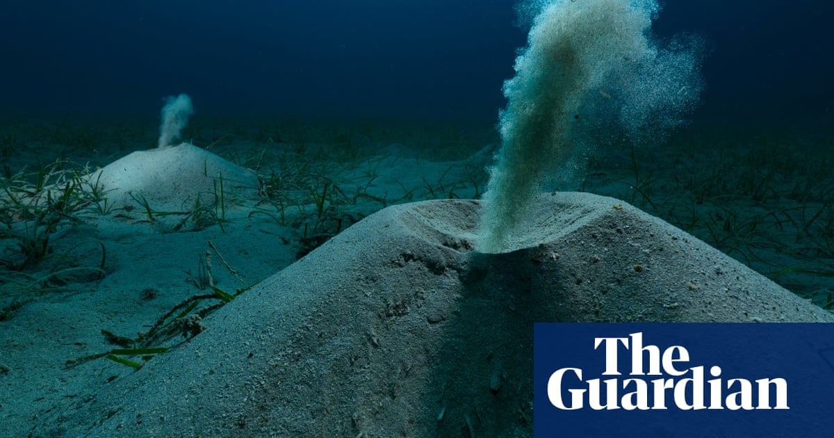 A seadragon and flushing worms: Environmental Photography award winners – in pictures | Art and design