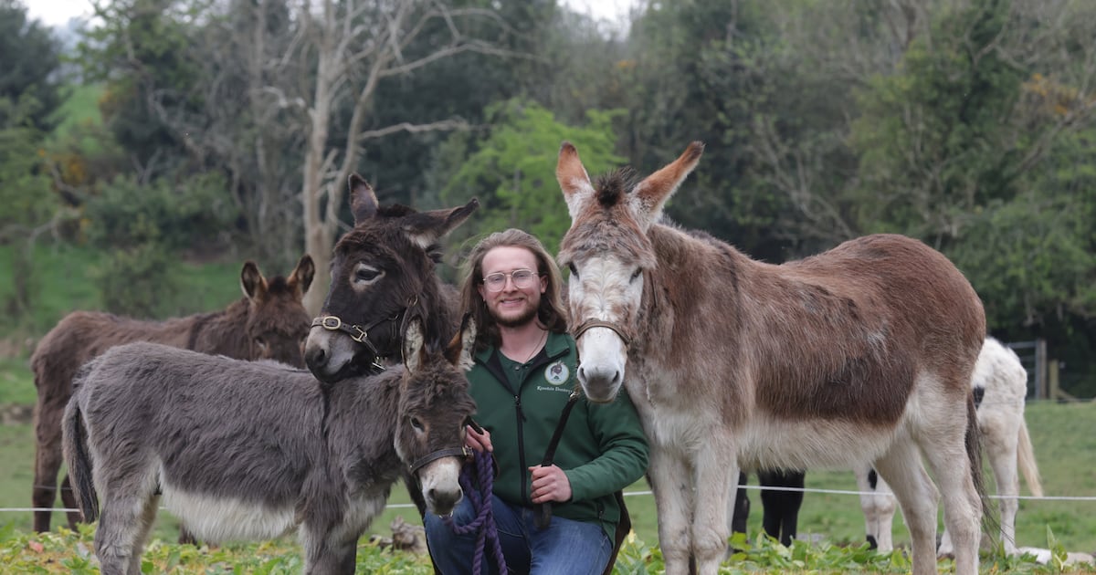 Meet the Co Down man using donkey-assisted therapy to boost mental health in schools