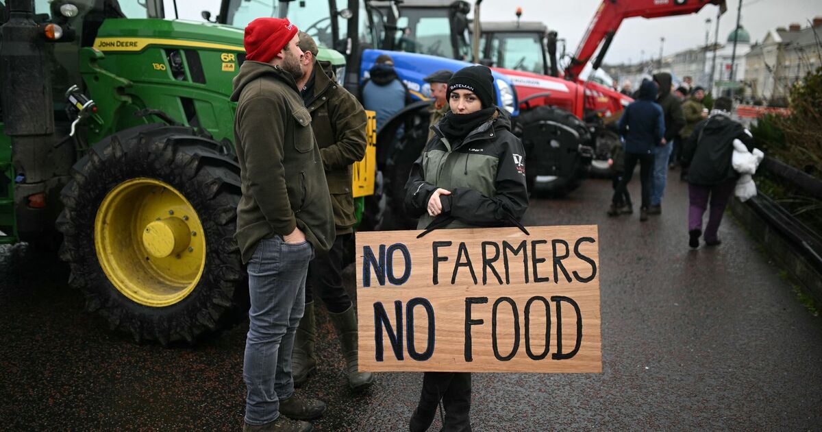 Farmers forced to turn land into campsites as Labour's inheritance tax changes loom | UK | News