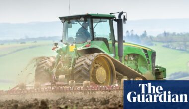 Closure of post-Brexit subsidies wrongly blocked 3,000 English farmers from funding | Farming