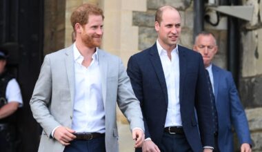Prince Harry dealt huge blow as poll shows popularity in America compared to William | Royal | News