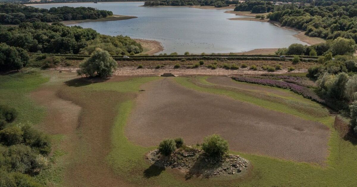 Hosepipe ban looms amid 'medium' drought risk in England | UK | News