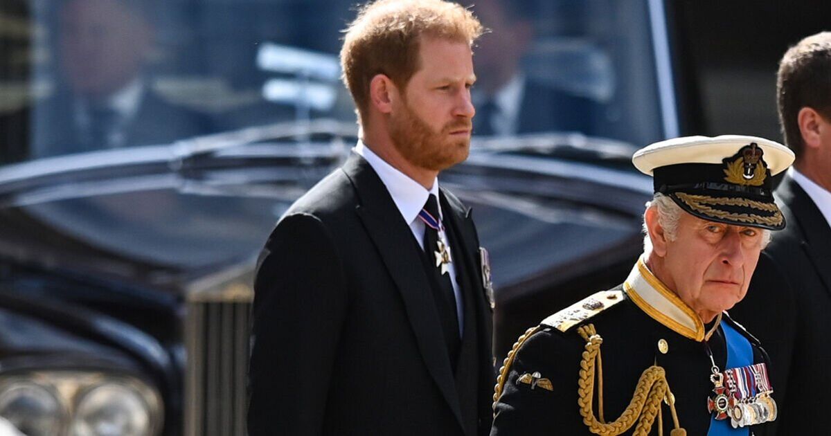 Prince Harry 'not the sharpest tool' but must know 'he's undermining King' | Royal | News