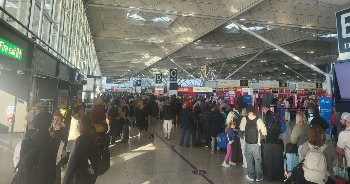 Travel chaos at Stansted airport as flights delayed | UK | News