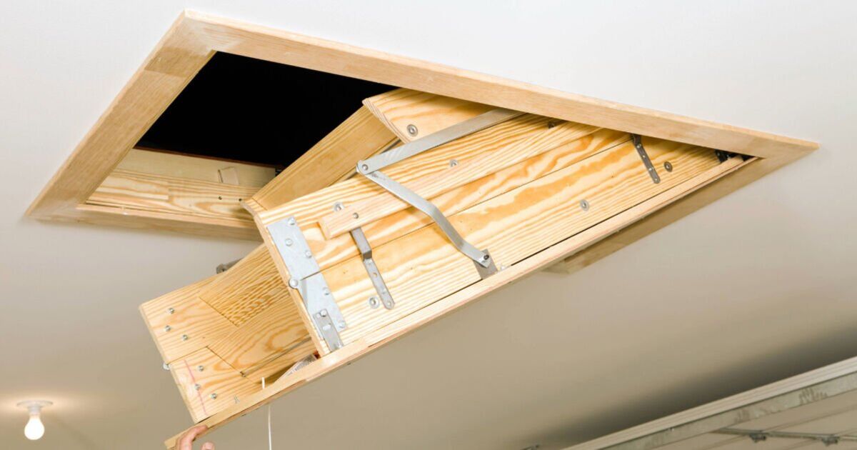 Households in England urged to leave loft hatch open for next 11 days | UK | News