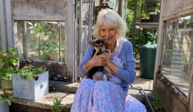 Queen Camilla introduces new family member ahead of sweet event | Royal | News