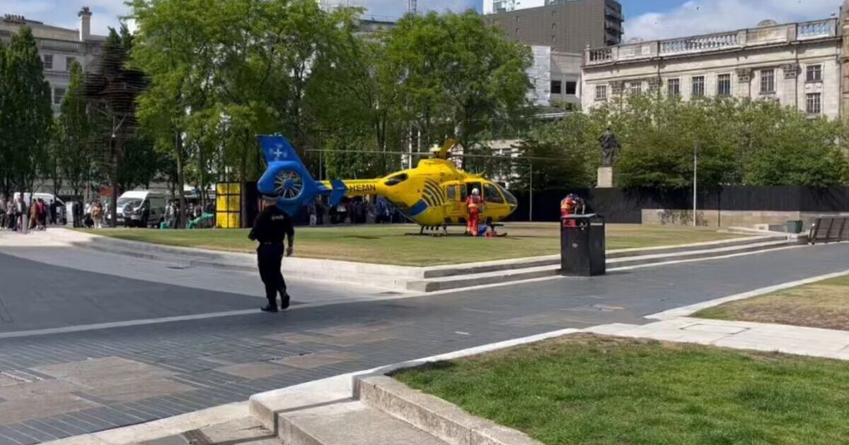Manchester Piccadilly Gardens: Air ambulance lands in UK city centre | UK | News