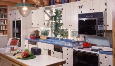 One decades-old kitchen item is 'making an adorable comeback' in homes