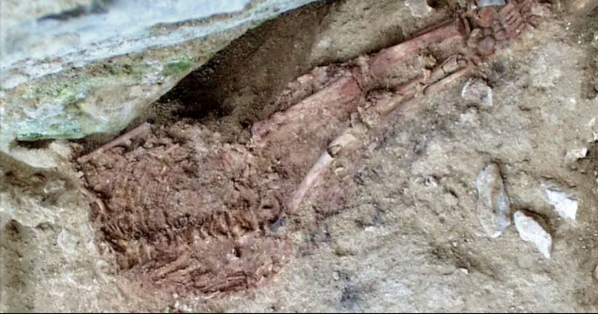 Archaeologists confirm first 'hybrid child' showing humans' love of Neanderthals | World | News