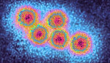 Holiday hotspot loved by Brits issues alert as disease spreads - 'Get vaccinated!' | World | News