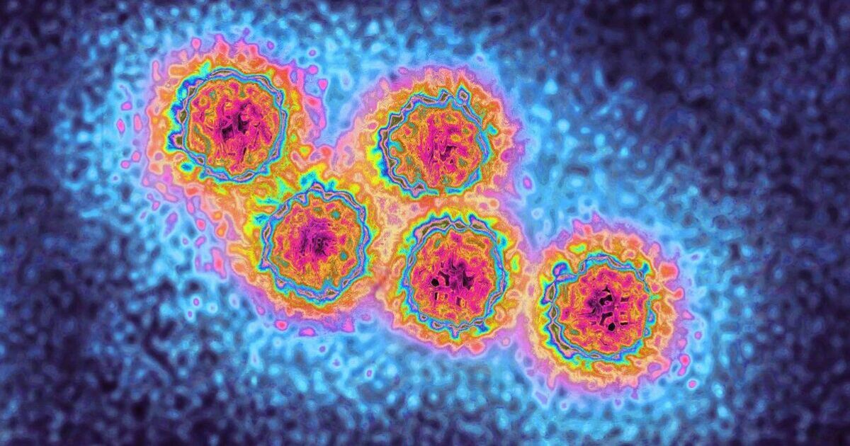Holiday hotspot loved by Brits issues alert as disease spreads - 'Get vaccinated!' | World | News