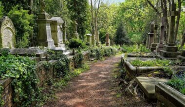 UK cemetery's 'horrific' £18m project sparks fury - toilets to be built metres from graves | UK | News
