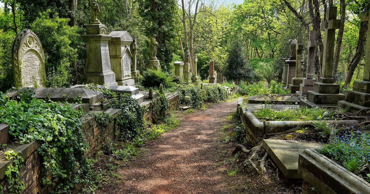 UK cemetery's 'horrific' £18m project sparks fury - toilets to be built metres from graves | UK | News
