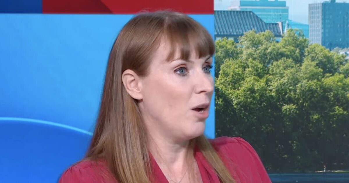 'Speak plainly!' Trevor Phillips skewers Angela Rayner in Sky News clash | TV & Radio | Showbiz & TV