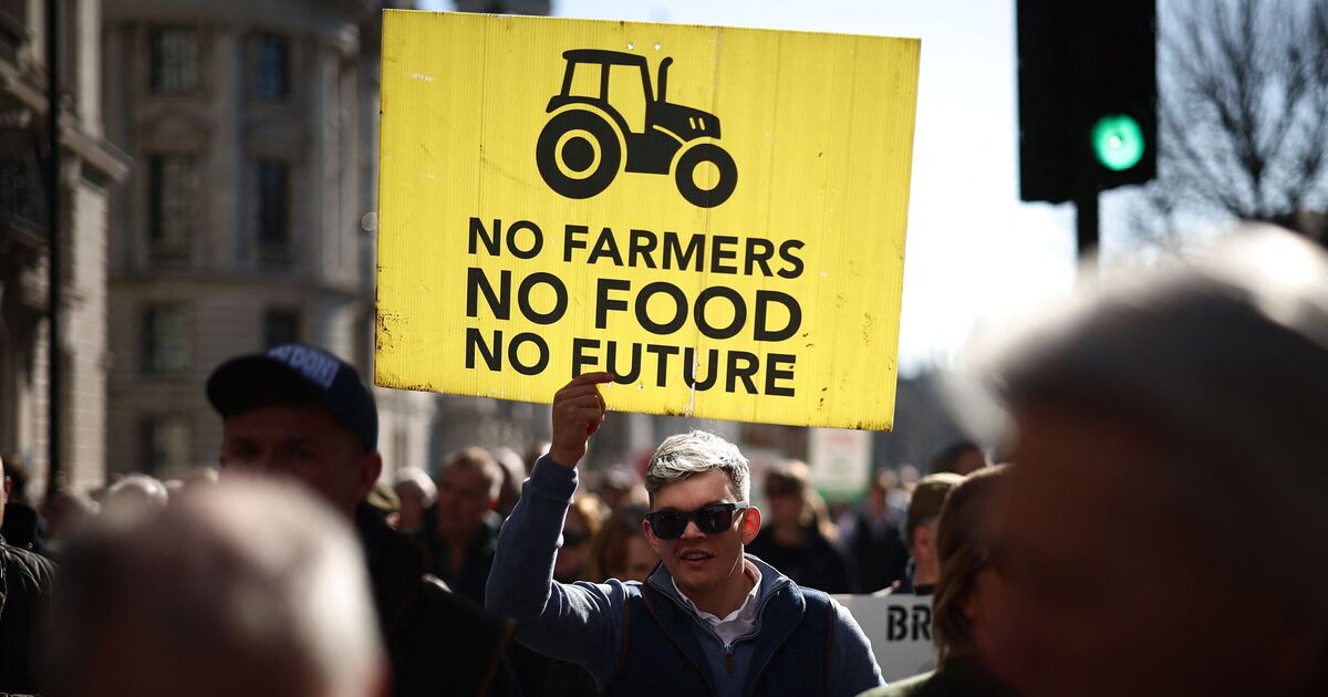 Keir Starmer's Brexit betrayal risks farmers face losing harvest under reset | Politics | News