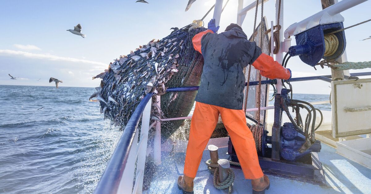 Brexit fishing fury as France seized British boat 'in revenge plot' | UK | News