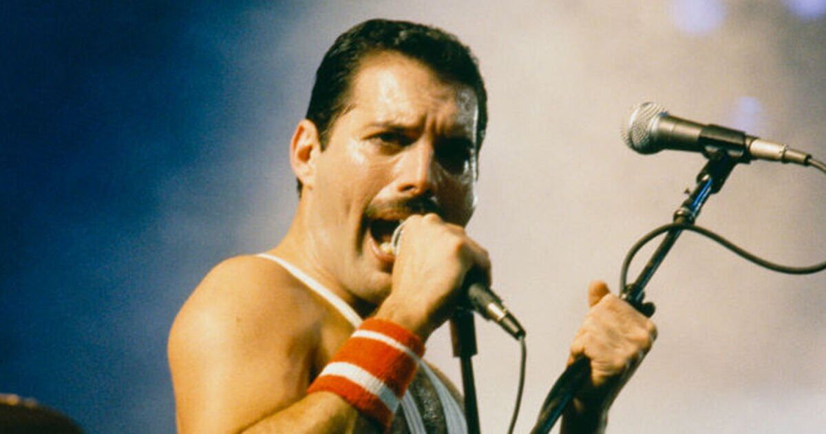 Freddie Mercury's secret daughter in new bombshell DNA update | Celebrity News | Showbiz & TV