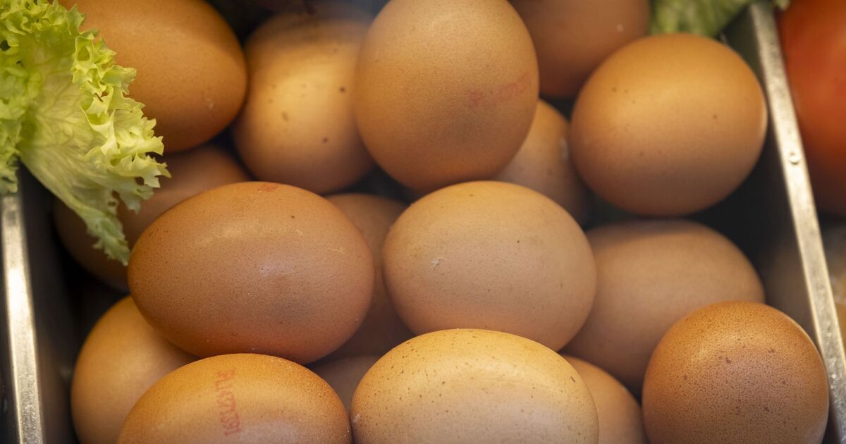 Six high-carb foods that contain more protein than an egg | UK | News