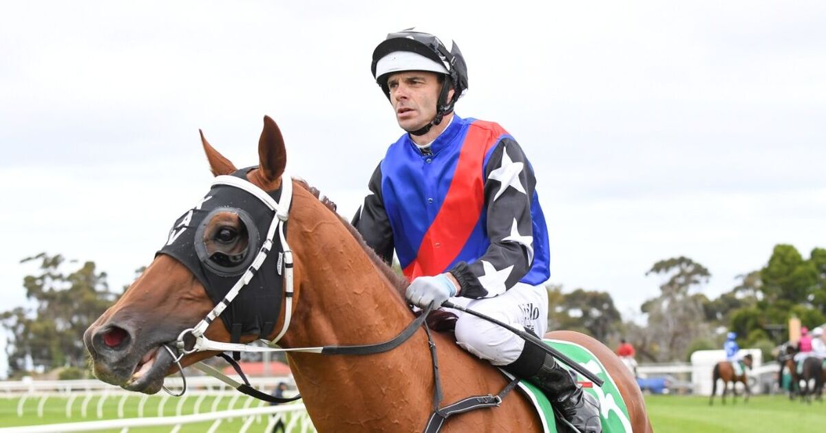 Horse racing jockey rushed to hospital after 'physical altercation' with rival | Racing | Sport