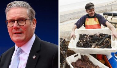Fishermen slam Keir Starmer's 'insulting and patronising' EU Brexit be | Politics | News
