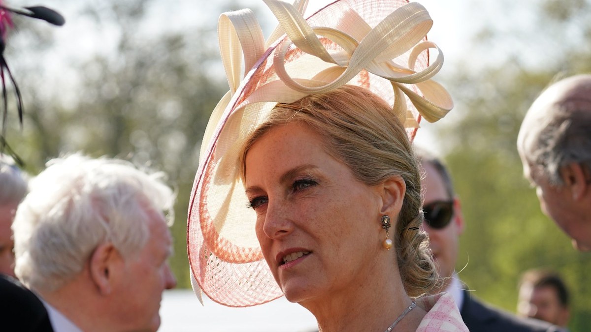 Duchess Sophie cloned Princess Diana's buttoned baby pink dress - and nobody noticed