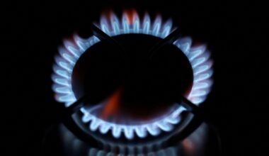 Slovakia not to support EU plan to end Russian energy imports: economy ministry - World