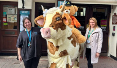 Details revealed for Harrogate Theatre's panto horse race