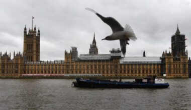 Britain’s defeated Tory MPs struggle to adjust to civilian life – POLITICO