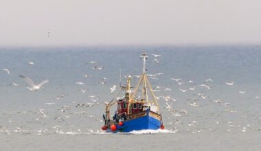 Brexit: What the new deal means for fishing – in charts