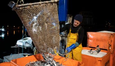 Starmer bets ‘sell-out’ on fish won’t spook Brits weary of Brexit – POLITICO